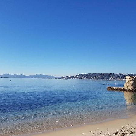 Appartement 2 Pieces, Renove, 2 Piscines+Tennis, Mer, Climatisation 昂蒂布 外观 照片
